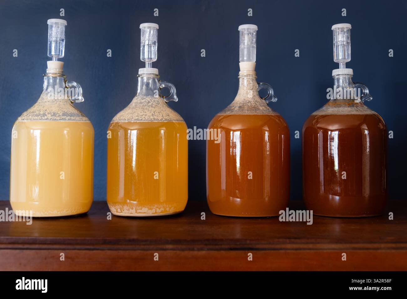 Quattro bottiglioni riempiti di liquido di vari colori, dall'oro chiaro all'ambra scuro, con airlock Foto Stock