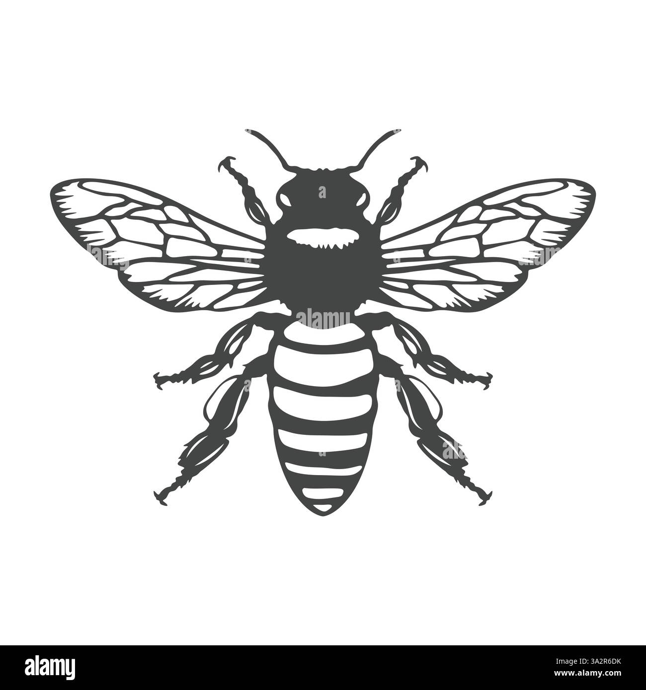Logo del vettore di api mellifere. Logo Honey bee, vettore Honey bee, icona Honey bee, svg Honey bee, silhouette Honey bee, clipart miele, Bee Icon. Illustrazione Vettoriale