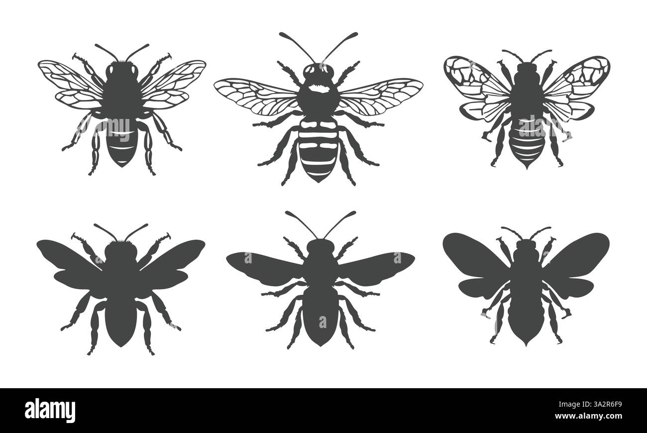 Honey bee SVG, Honeybee silhouette, Bee svg, Bee silhouette, Flying bee silhouette, icona dell'ape del miele, illustrazione vettoriale dell'ape, clipart dell'ape del miele, miele Illustrazione Vettoriale