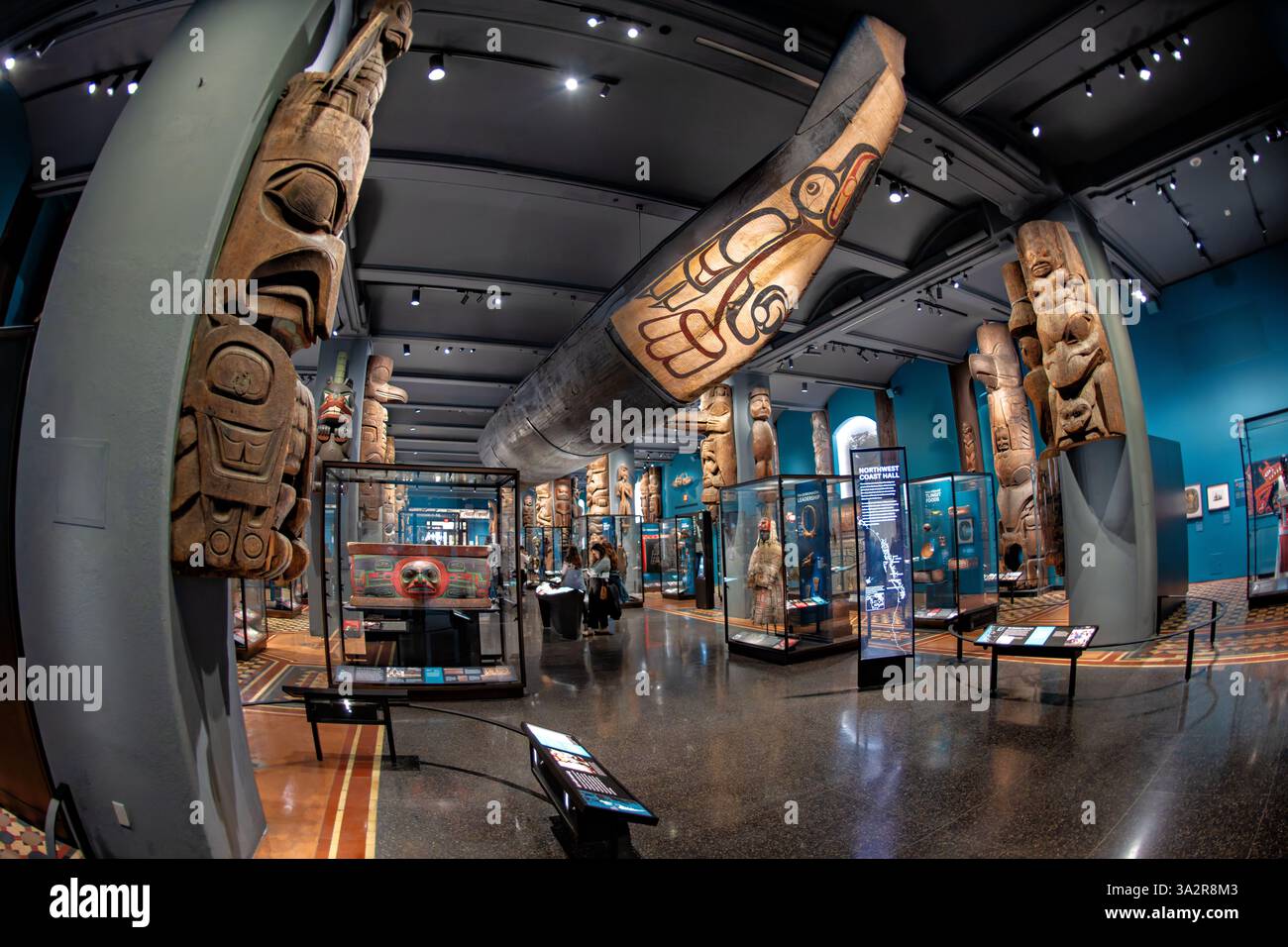 American Museum of Natural History Northwest Coast Hall New York City // NEW YORK CITY, Stati Uniti - la Northwest Coast Hall dell'American Museum of Natural History espone più di 1.000 tesori culturali provenienti da dieci nazioni indigene del Nord-ovest Pacifico. Sviluppata in collaborazione con le comunità native, la galleria rinnovata presenta 67 sculture monumentali alte da 3 a 17 metri, oltre ad altri importanti manufatti culturali. La mostra presenta la cultura materiale di Salish Coast, Gitxsan, Haida, Haíłzaqv, Kwakwaka'wakw, Nuu-chah-nulth, Nuxalk, Łingít/Tlingit, Foto Stock