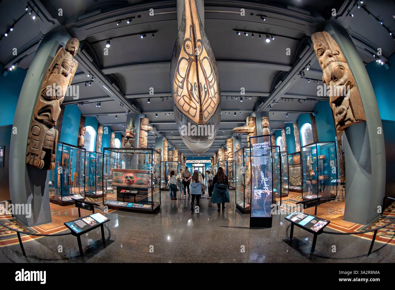 American Museum of Natural History Northwest Coast Hall New York City // NEW YORK CITY, Stati Uniti - la Northwest Coast Hall dell'American Museum of Natural History espone più di 1.000 tesori culturali provenienti da dieci nazioni indigene del Nord-ovest Pacifico. Sviluppata in collaborazione con le comunità native, la galleria rinnovata presenta 67 sculture monumentali alte da 3 a 17 metri, oltre ad altri importanti manufatti culturali. La mostra presenta la cultura materiale di Salish Coast, Gitxsan, Haida, Haíłzaqv, Kwakwaka'wakw, Nuu-chah-nulth, Nuxalk, Łingít/Tlingit, Foto Stock