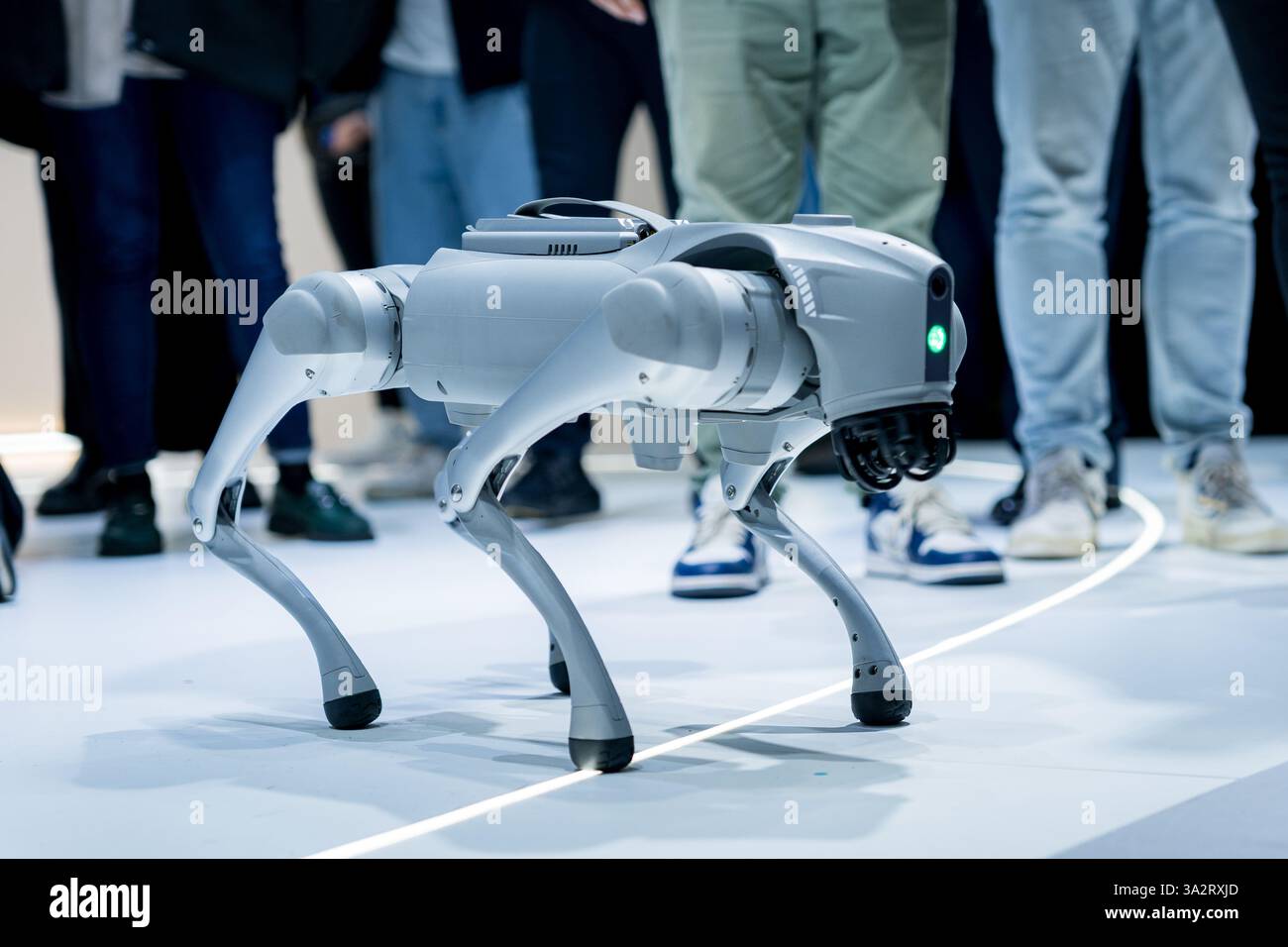 Un cane robot che cammina e gioca intorno alle persone in una fiera tecnologica. Concetto di innovazione ingegneristica robotica e intelligenza artificiale ai Foto Stock