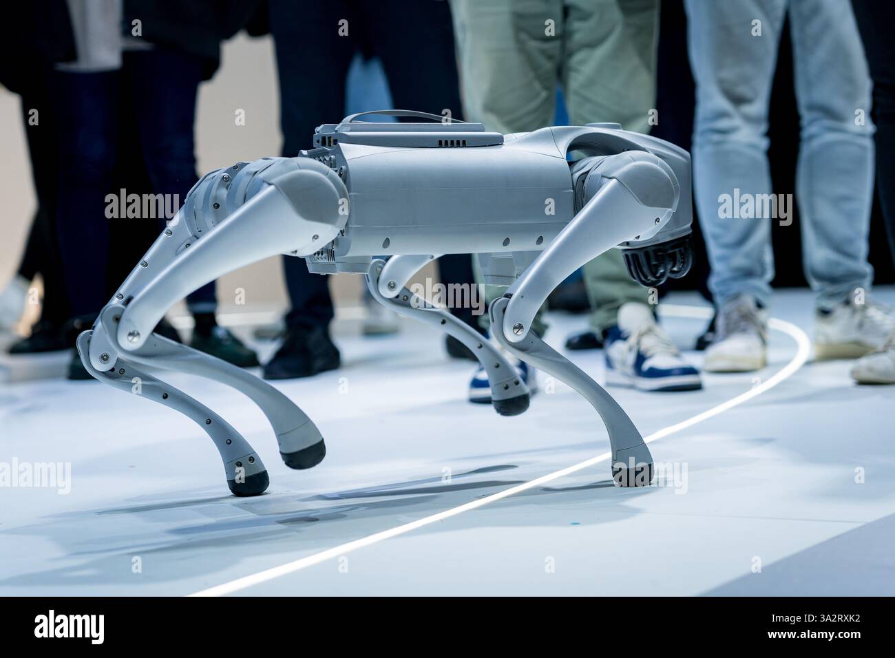 Un cane robot che cammina e gioca intorno alle persone in una fiera tecnologica. Concetto di innovazione ingegneristica robotica e intelligenza artificiale ai Foto Stock