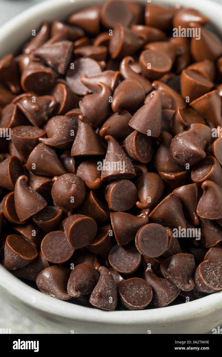 Mini chip di cioccolato crude biologiche in una ciotola Foto Stock