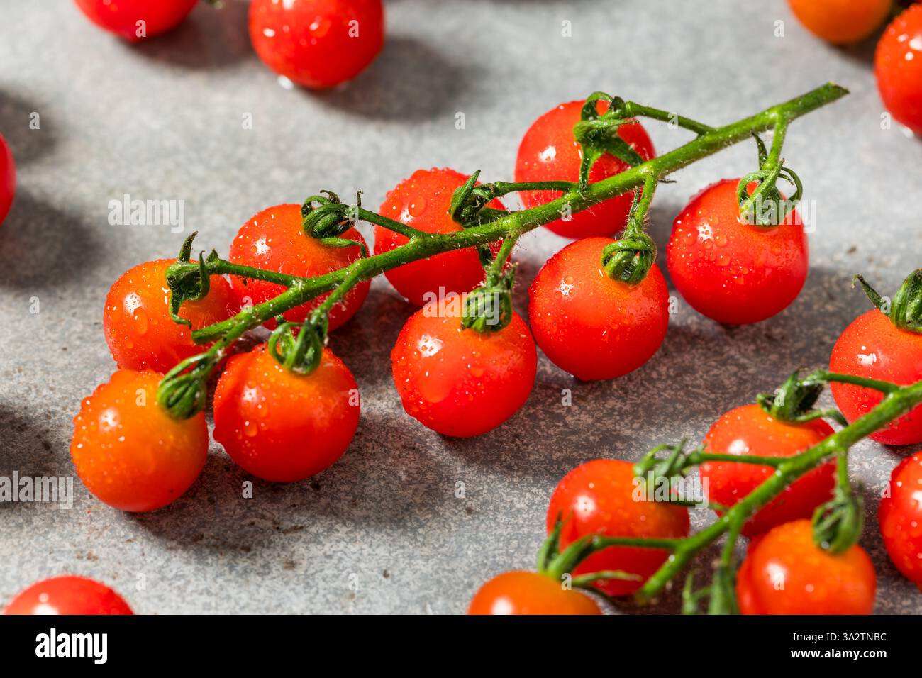 Pomodori ciliegini rossi crudi biologici sulla vite Foto Stock