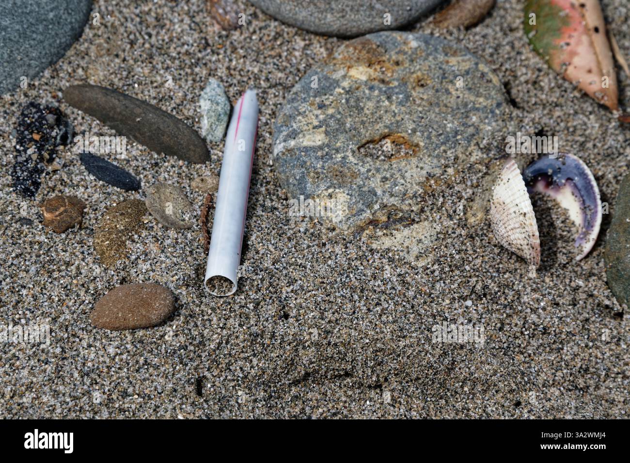 Le materie plastiche monouso causano un enorme problema all'ambiente. Le cannucce di plastica sono solo una di queste. Foto Stock