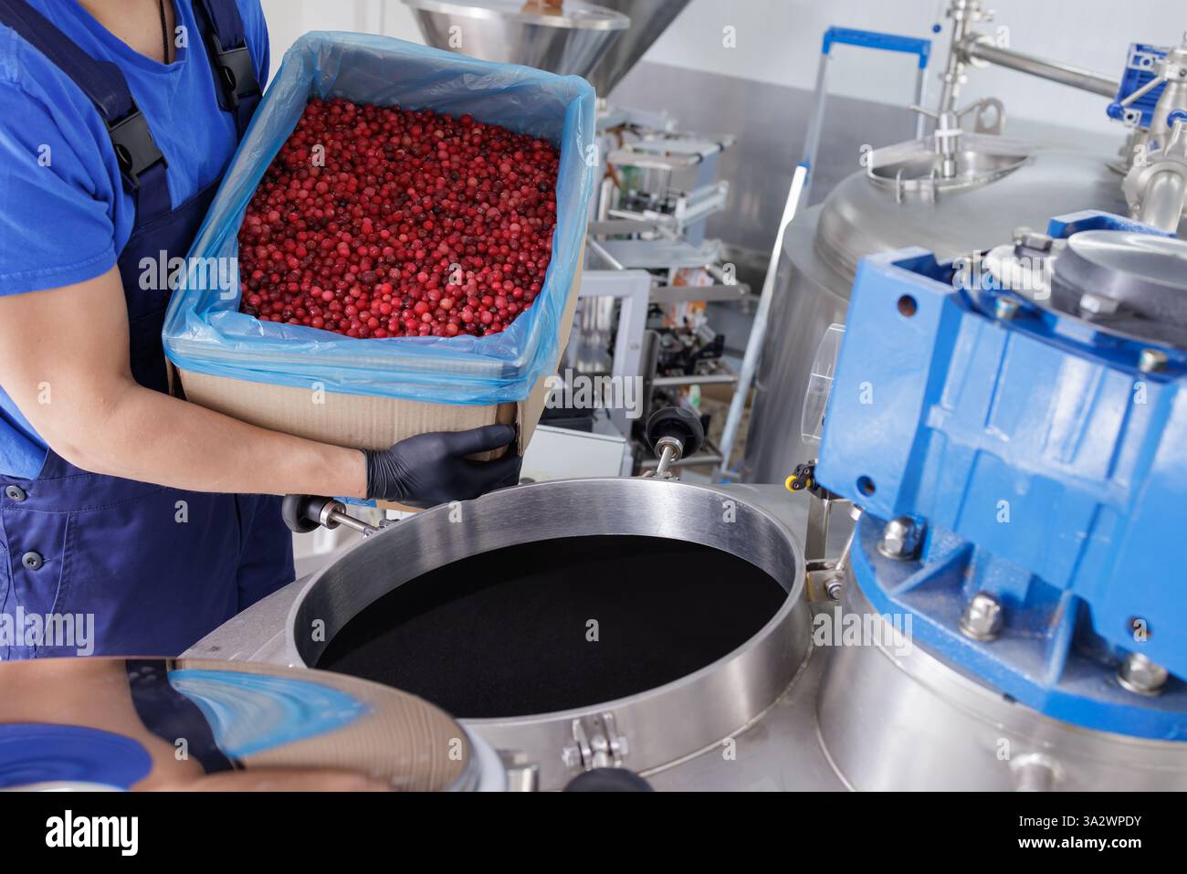 Lavoratore che versa bacche rosse fresche in una macchina industriale per la lavorazione degli alimenti, produce in fabbrica succhi, marmellate o estratti in una struttura moderna. Foto Stock