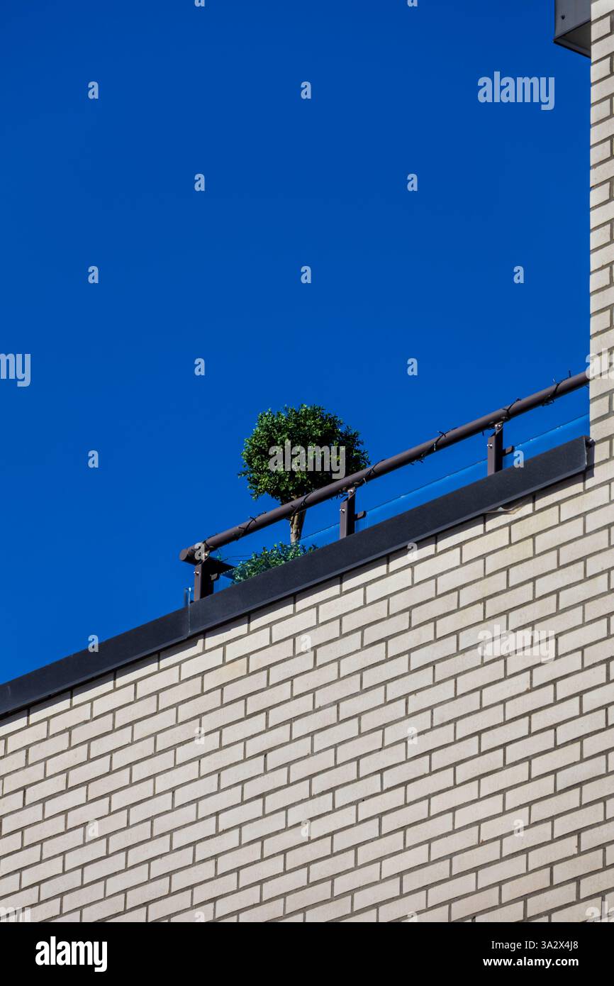 Un piccolo albero rompe la simmetria della facciata pulita in mattoni bianchi, sotto un cielo azzurro Foto Stock