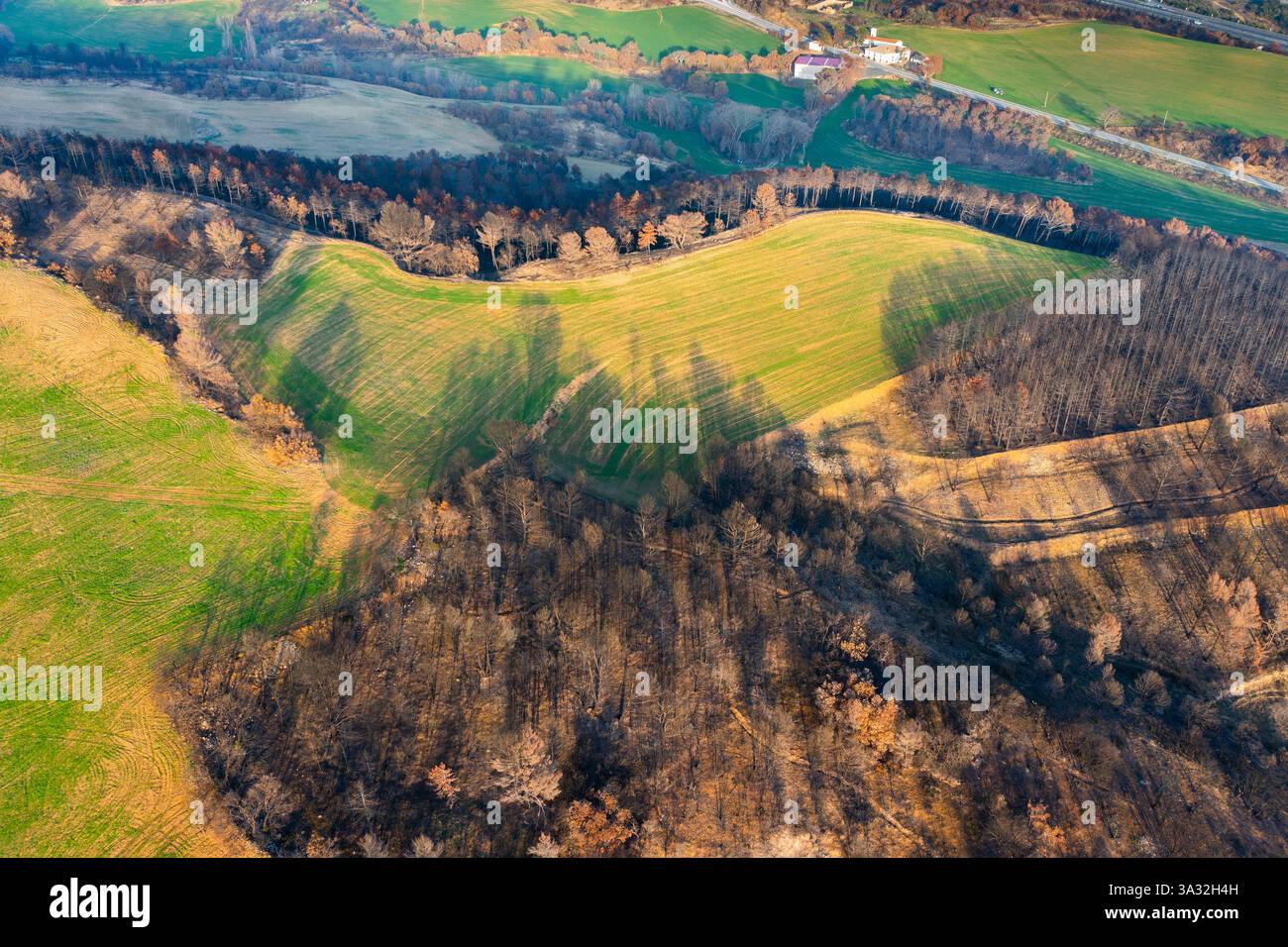 Incendio che brucia alberi vicino a legarda in navarra, spagna, causando deforestazione Foto Stock