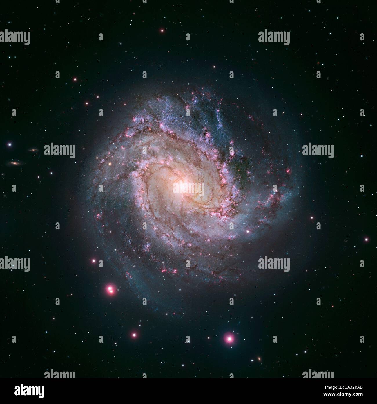 9 gennaio 2014 - Hubble image of the Barred Spiral Galaxy M83..Hubble vede la genesi stellare nella ruota del Sud - 09 gennaio 2014..Un obiettivo fotogenico e preferito per gli astronomi dilettanti, la bellezza completa della vicina galassia a spirale barrata M83 è stata svelata in tutta la sua gloria in questa immagine a mosaico del telescopio spaziale Hubble rilasciato il 9 gennaio. I magenta e i blu vibranti rivelano che la galassia è piena di formazione stellare. La galassia, nota anche come ruota del Sud, si trova a 15 milioni di anni luce di distanza nella costellazione dell'Idra... la fotografia di Hubble cattura migliaia di ammassi stellari, centinaia di te Foto Stock
