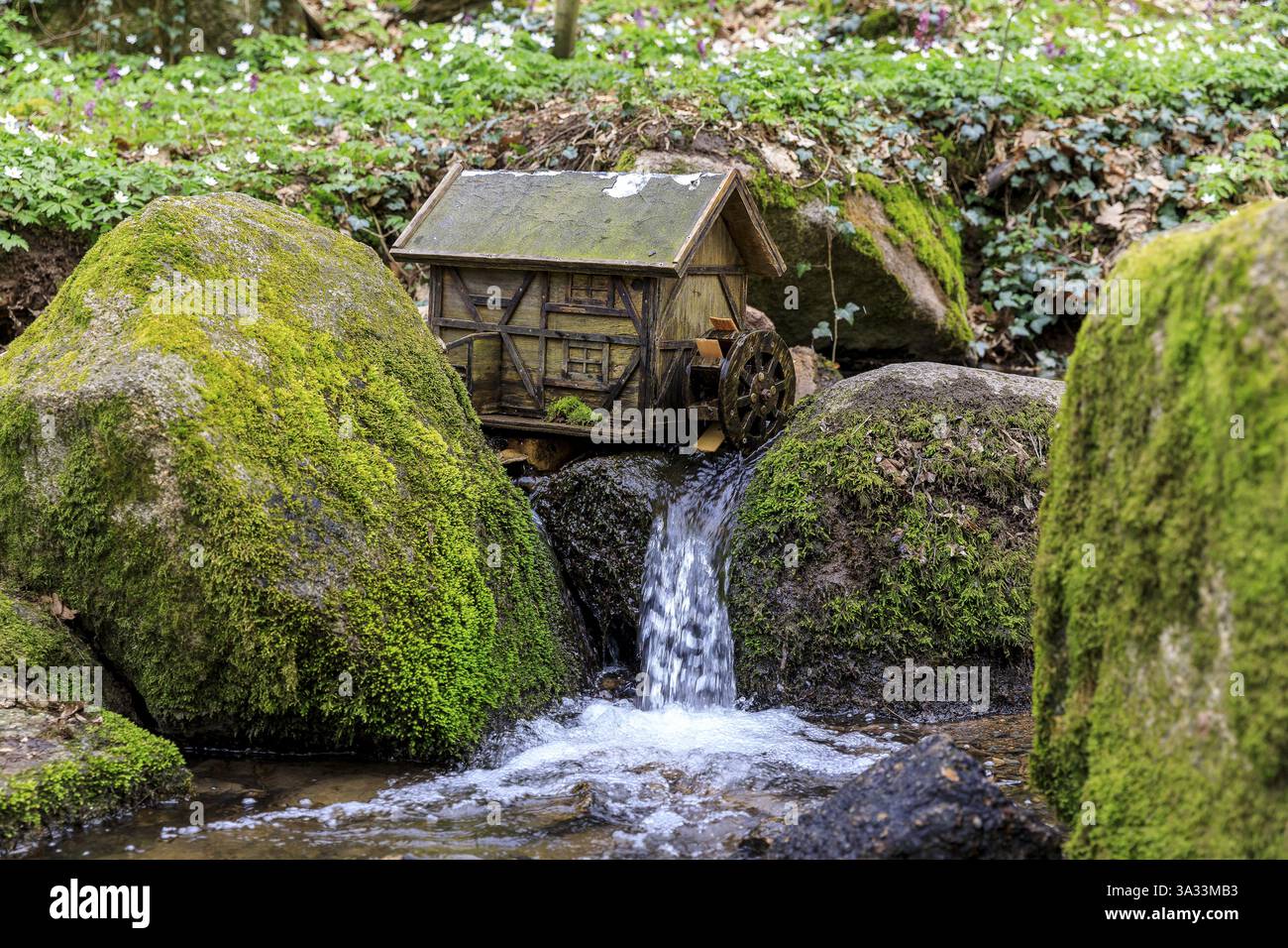 Piccolo modello di mulino ad acqua con una ruota ad acqua nel torrente Spargundbach a Spargruenden vicino a Dohna, Sassonia, Germania, Europa Foto Stock