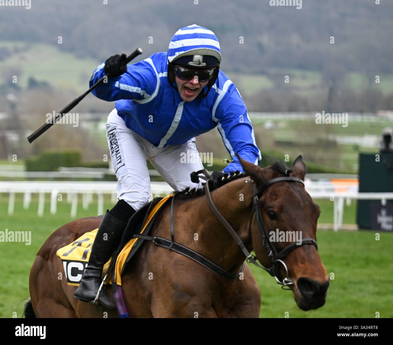 14 marzo 2025; Cheltenham Racecourse, Cheltenham, Gloucestershire, Inghilterra: 2025 Cheltenham Festival Day 4; Jonjo o'Neil in sella a Poniros celebra la vittoria dell'ostacolo JCB Triumph Foto Stock