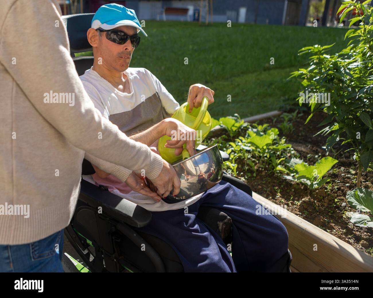 Un uomo che utilizza una sedia a rotelle svolge un'attività di giardinaggio in un centro diurno. Innaffiano con assistenza, evidenziando l'empowerment e la comunità su Foto Stock
