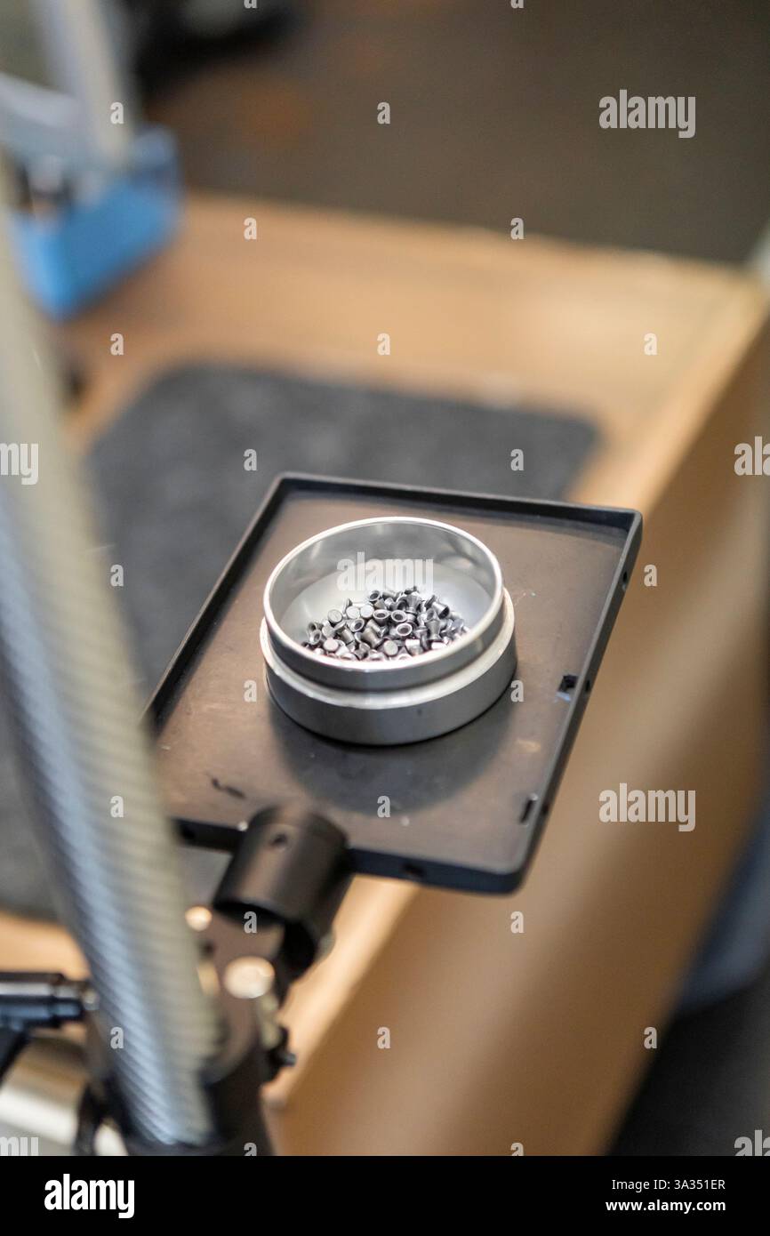 Primo piano di pellet usati per sparare alle olimpiadi cieche. L'immagine sottolinea la precisione e la concentrazione richieste nello sport. Attrezzature adattive in alto Foto Stock