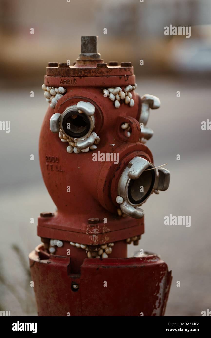 Un idrante rosso del fuoco intemprato ricoperto da barnacle, che mostra ruggine e decomposizione. L'insolita crescita marina su un oggetto urbano suggerisce abbandono, tempo pas Foto Stock