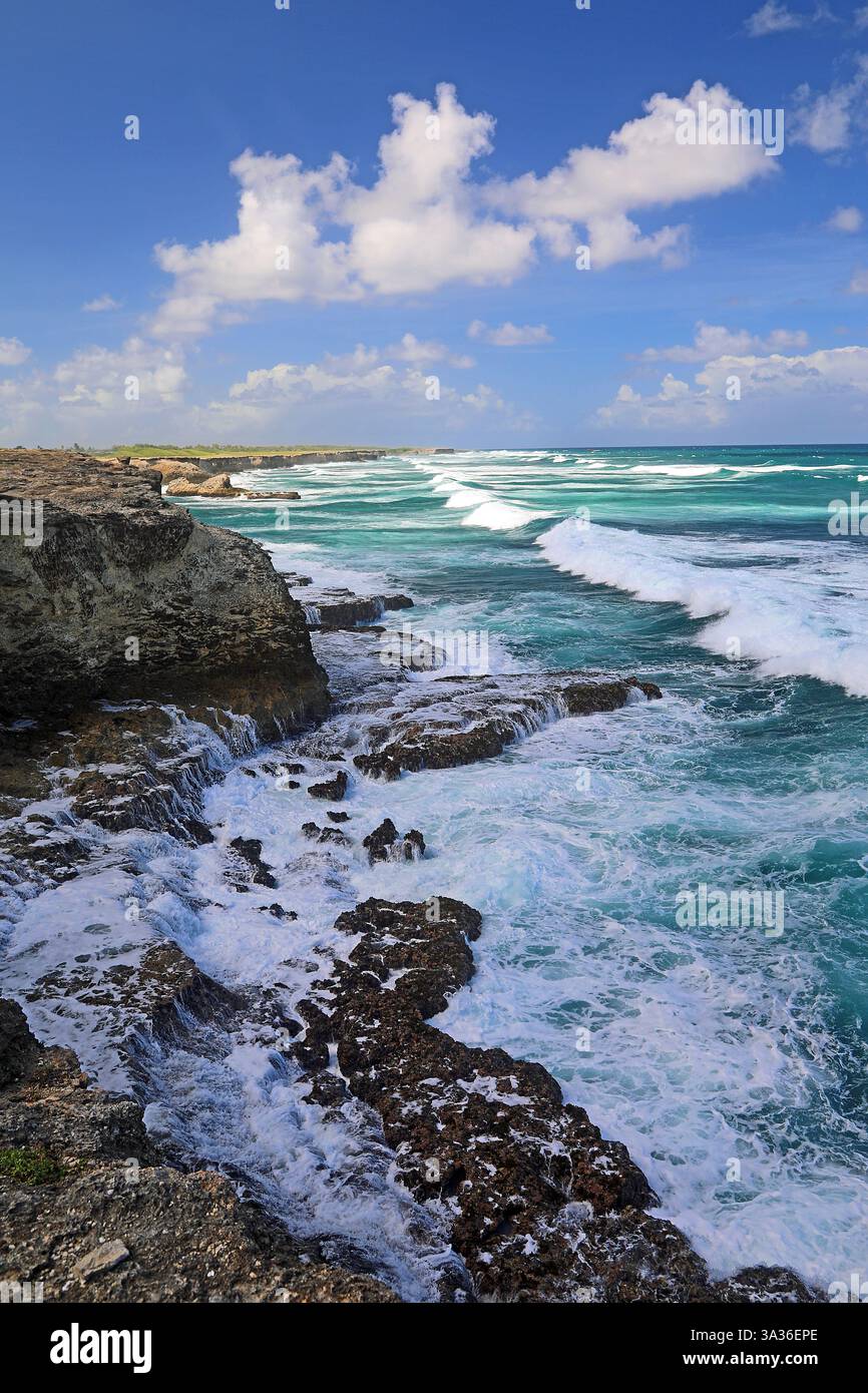 North Point Coast, Barbados Foto Stock