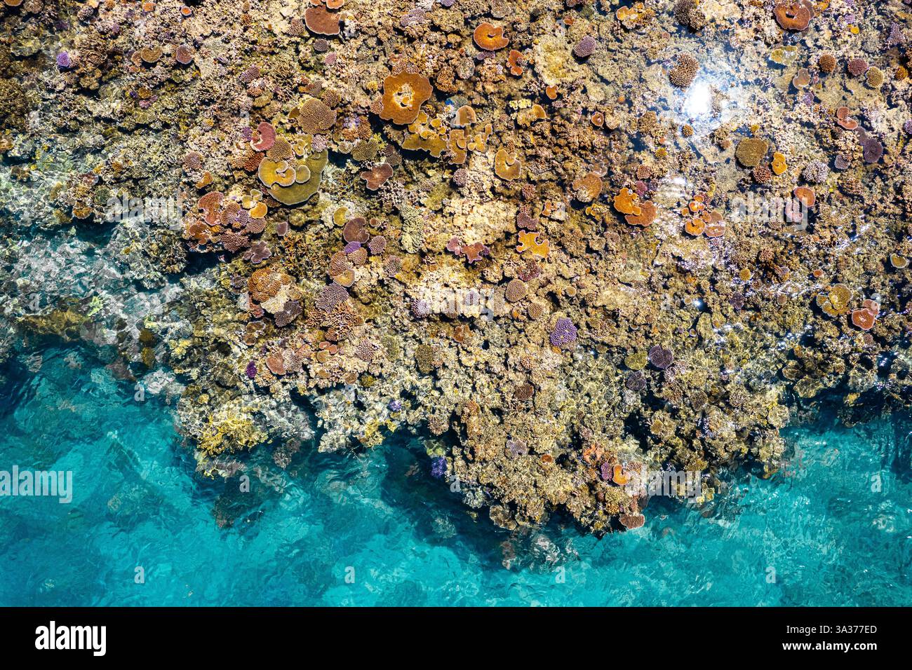 Vista aerea della barriera corallina tropicale nell'Oceano Pacifico tra isole remote Foto Stock