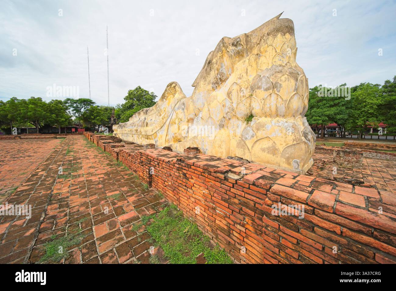 Wat Lokayasutharam ad Ayutthaya, Thailandia. Foto Stock