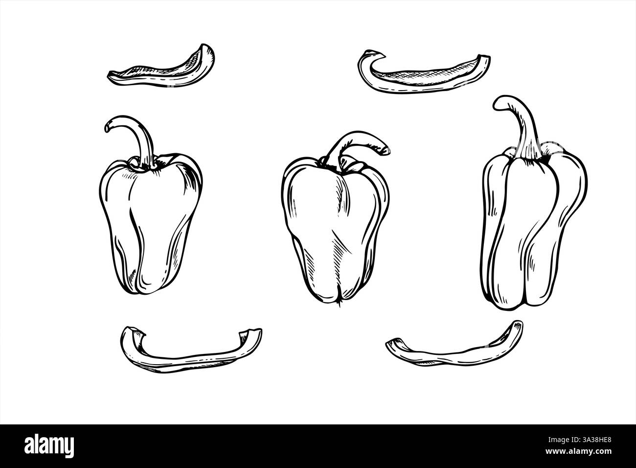 Tre immagini monocromatiche intere e tagliate a fette di peperoni dolci, isolate da vettori, dipinte con inchiostri neri. Estrazione di peperoni freschi e verdure. Illustrazione Vettoriale