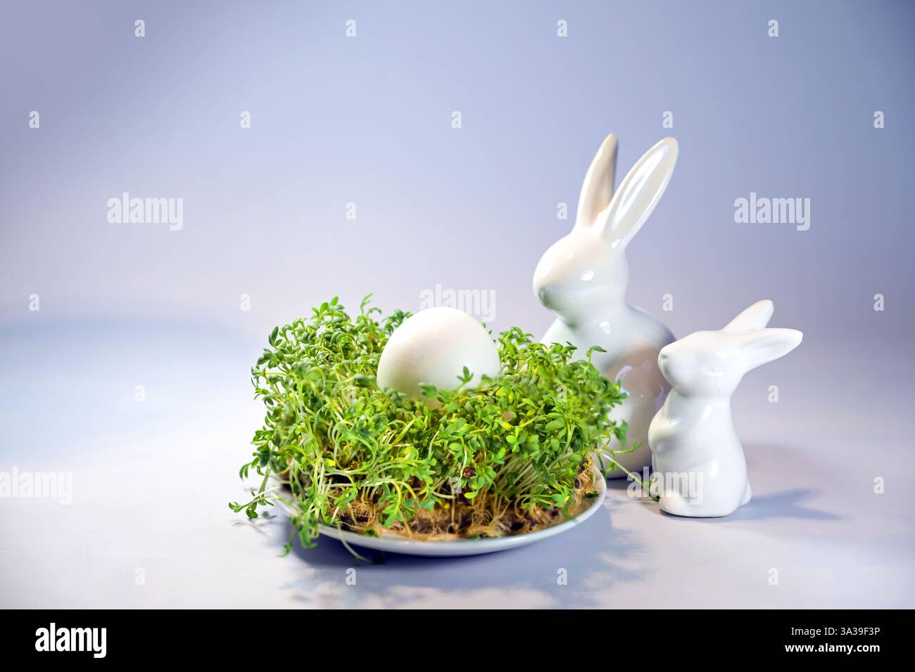 Due coniglietti pasquali di ceramica bianca che guardano a un uovo posto in un letto di cress su un piatto, sfondo viola chiaro blu, spazio copia, messa a fuoco selezionata, Foto Stock