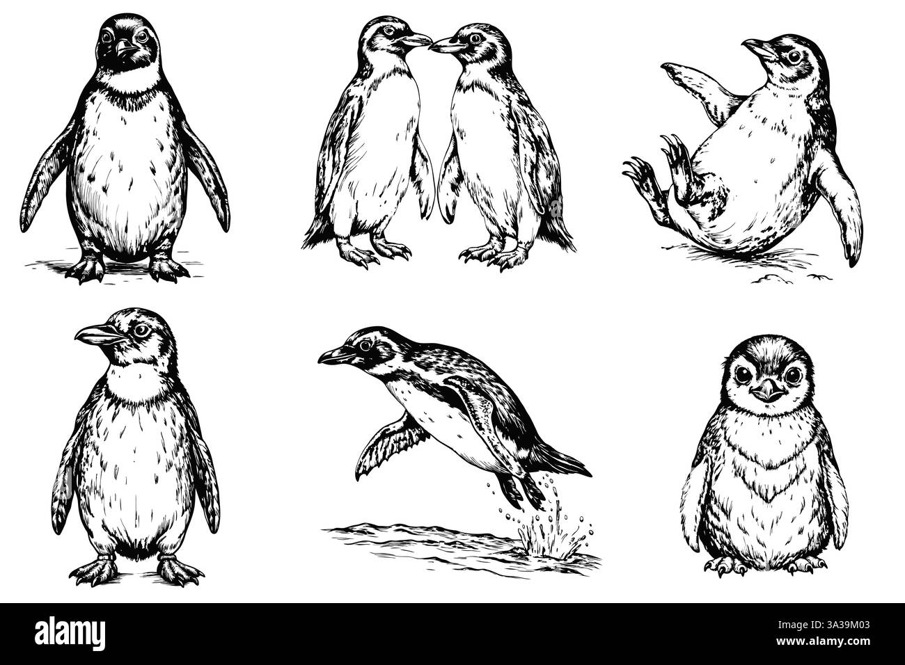 Il gruppo di pinguini disegna su uno sfondo bianco Illustrazione Vettoriale