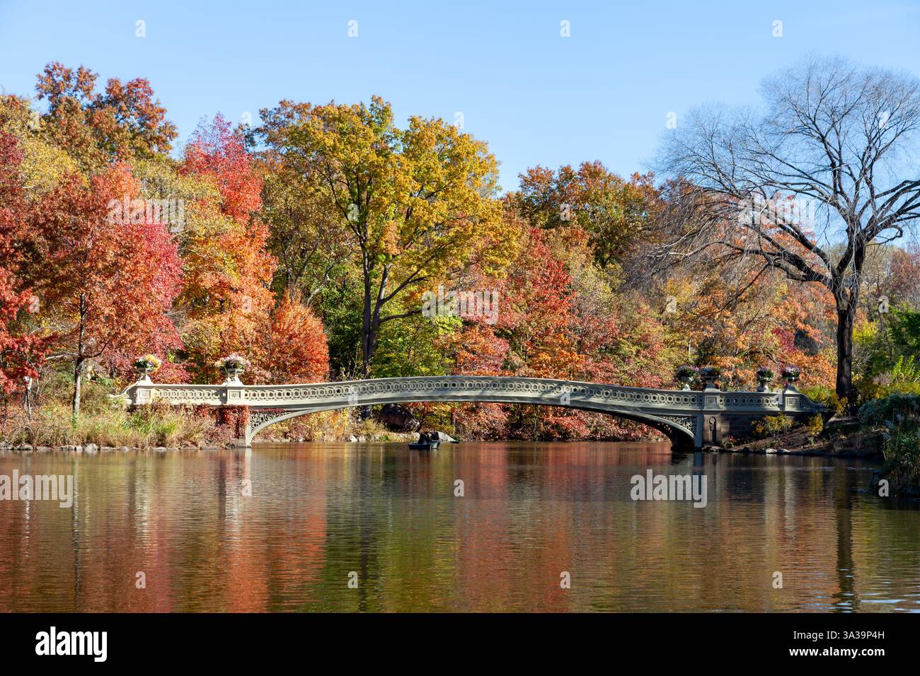 La bellezza serena del Bow Bridge, circondato dai brillanti colori autunnali di Central Park alla luce del tardo pomeriggio. L'acqua riflette le foglie vivide e. Foto Stock