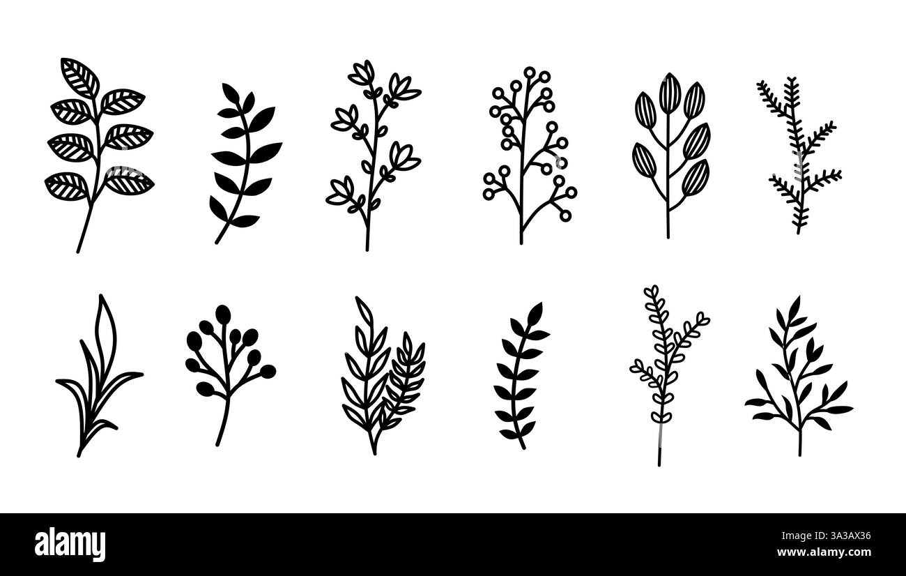 Una collezione di dieci illustrazioni botaniche disegnate a mano con vari disegni di foglie e rami. Illustrazione Vettoriale
