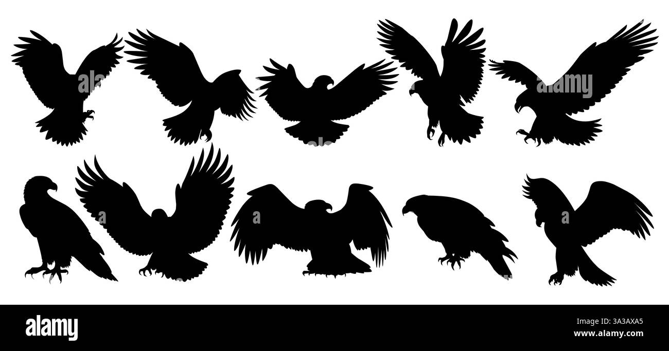 Una collezione di maestose silhouette di aquile in varie posizioni, che catturano il loro potere e grazia. Illustrazione Vettoriale