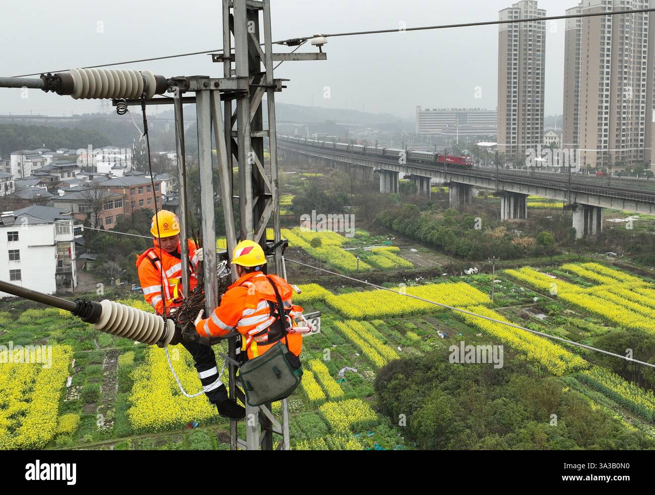 NANCHANG, CINA - 14 MARZO 2025 - due lavoratori della linea aerea di contatto in un'officina di alimentazione installano un dispositivo antiuccelli sulla linea aerea pilla Foto Stock