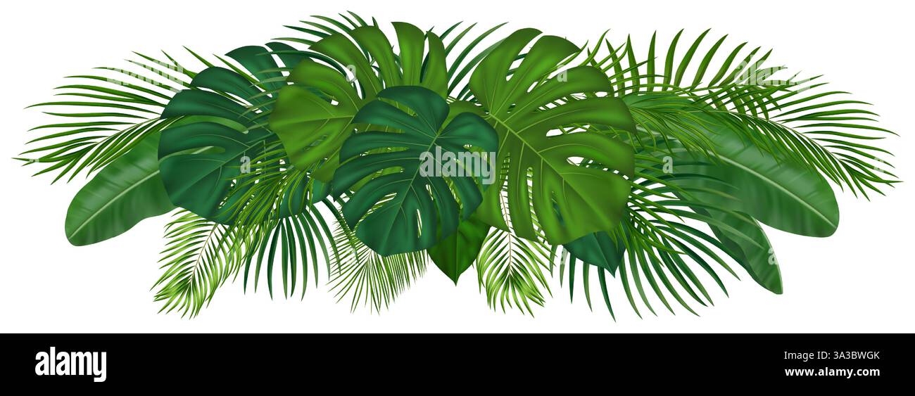 Composizione di foglie di palma tropicale lussureggiante per grafica estiva, social media e design ecocompatibili. Illustrazione vettoriale. Illustrazione Vettoriale
