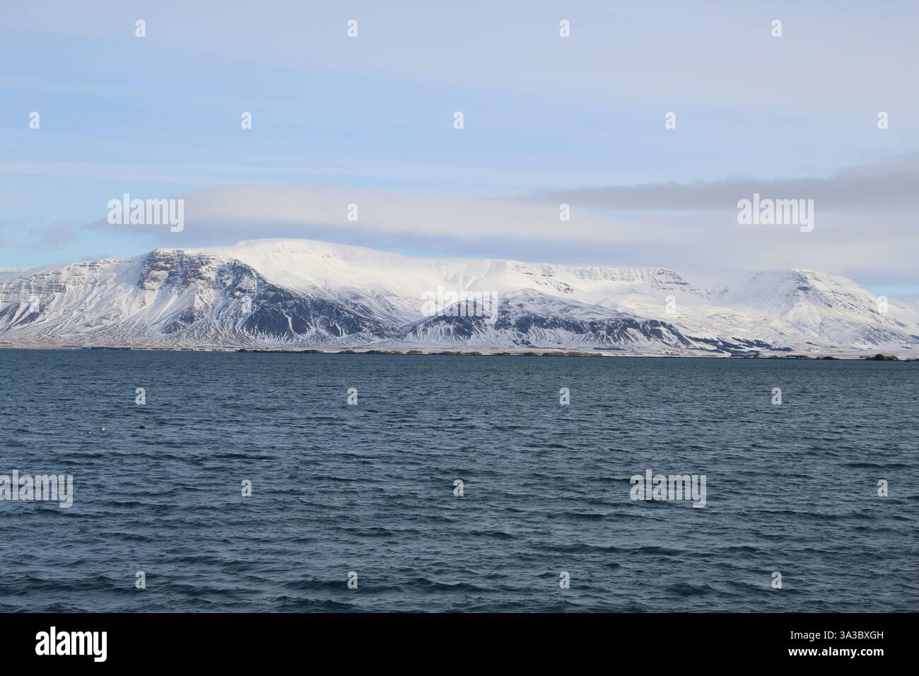 Paesaggio marino e montagna sullo sfondo di Reykjavik, Islanda Foto Stock