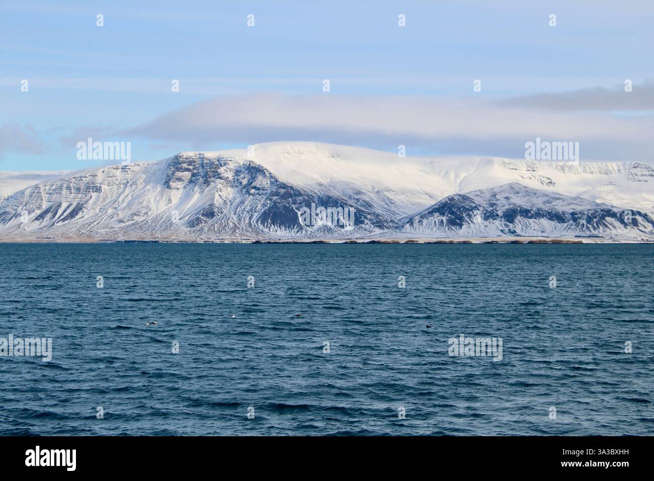 Paesaggio marino e montagna sullo sfondo di Reykjavik, Islanda Foto Stock