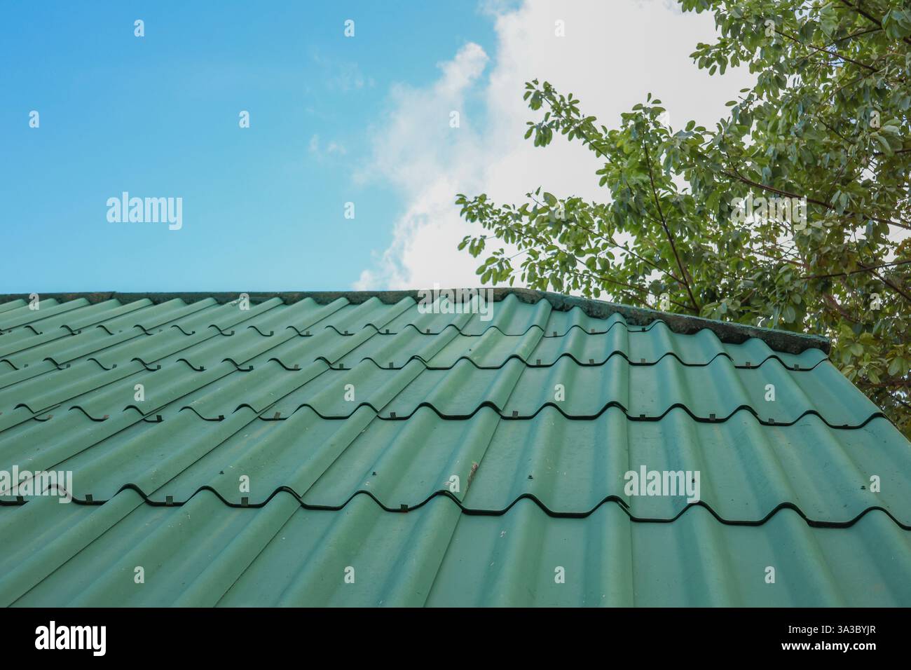 Un tetto con piastrelle di metallo verde contro un cielo azzurro e rami di alberi. Risorse grafiche, tetto, case. Foto Stock