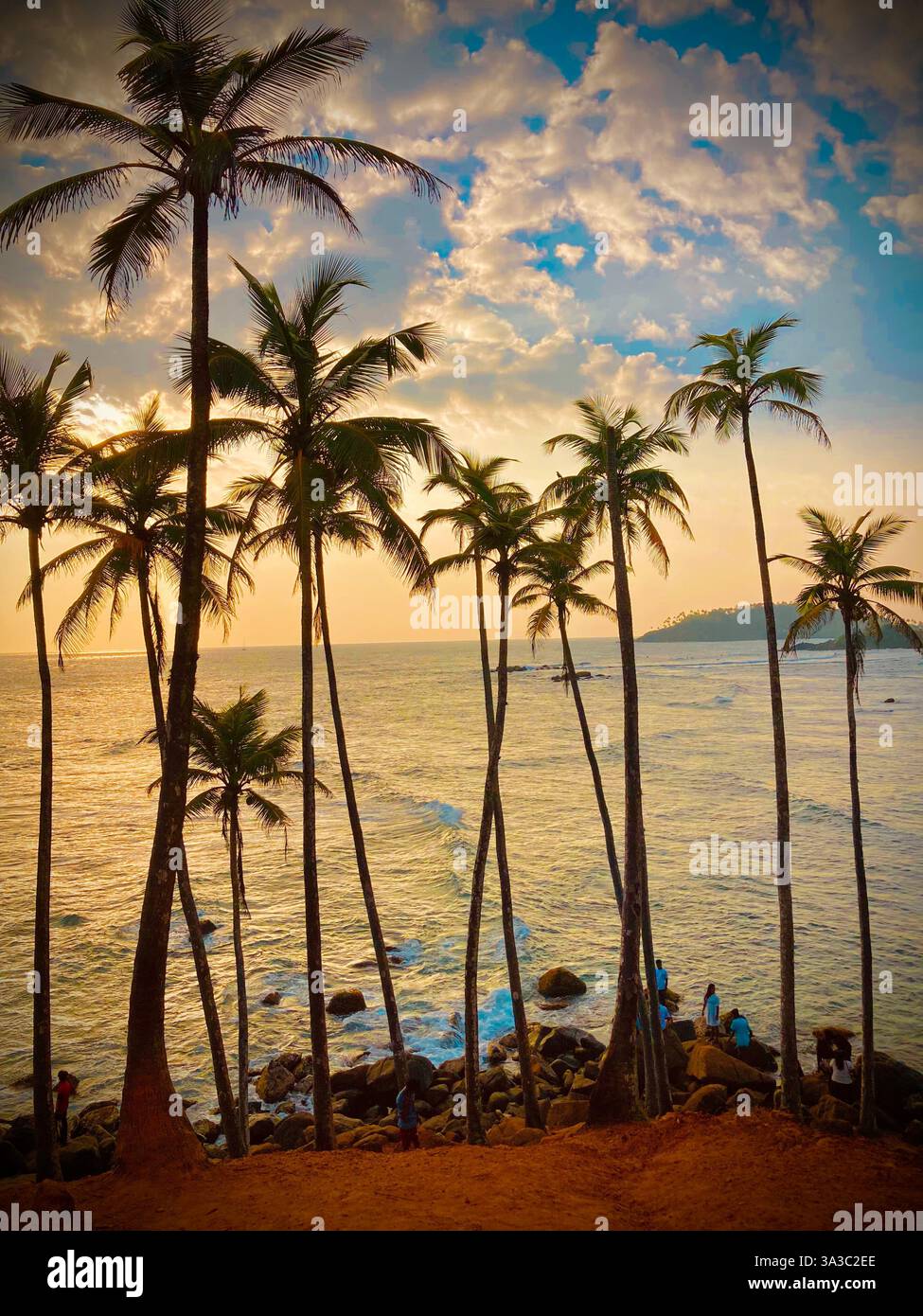 Splendida spiaggia soleggiata e palme da cocco, a sud, Sri Lanka - Immagine stock catturata con smartphone
