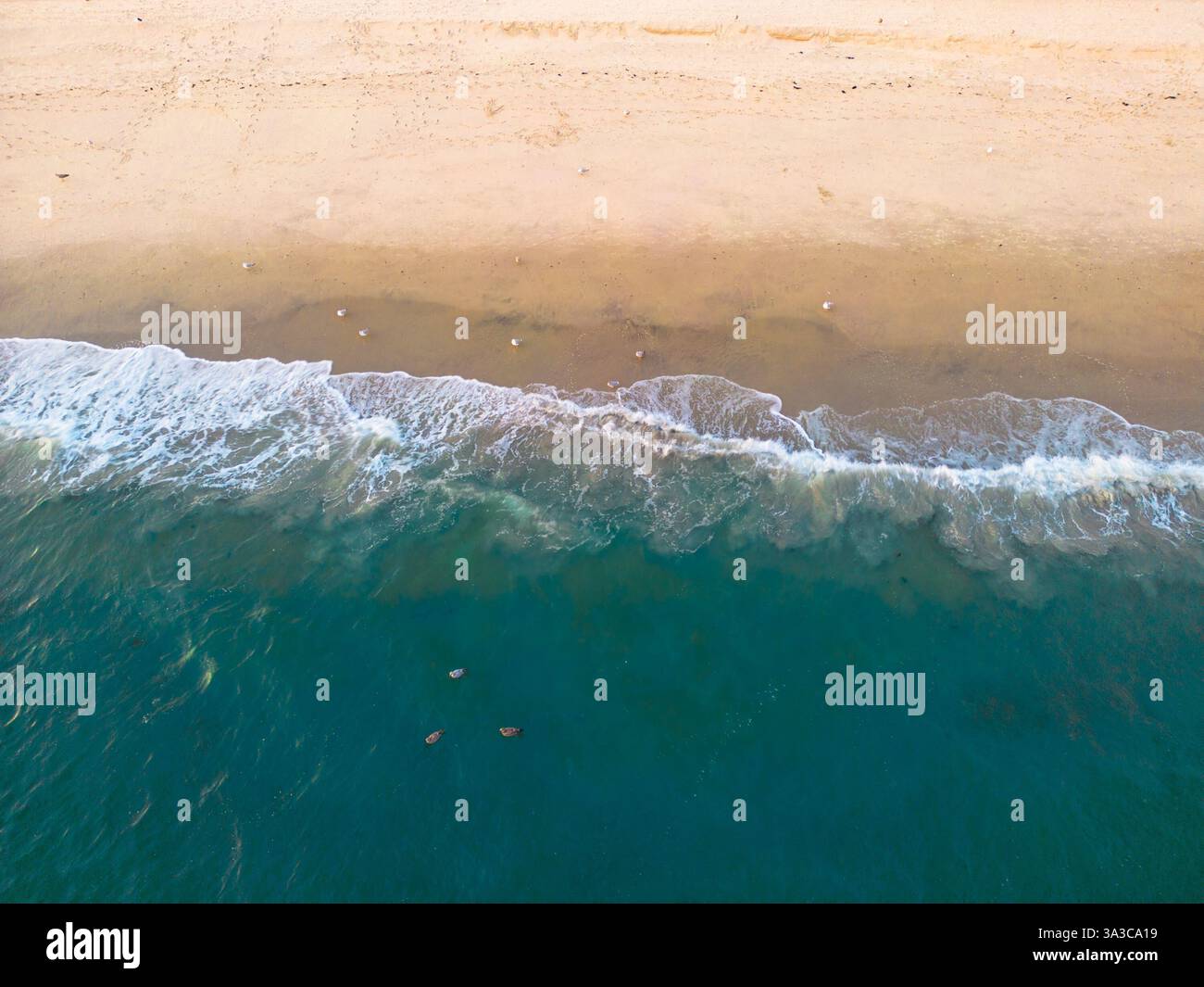 Vista dall'alto dell'oceano costiero e della spiaggia, con maree e onde Foto Stock