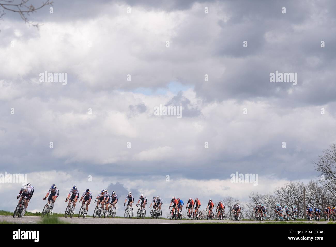 Cartoceto, Italia. 15 marzo 2025. Il branco cavalca durante la 60° Tirreno - Adriatico 2025, tappa 6 da Cartoceto a Frontignano (Ussita) - il 15 marzo 2025 a Cartoceto, Marche, Italia. (Foto di Fabio Ferrari/LaPresse) credito: LaPresse/Alamy Live News Foto Stock