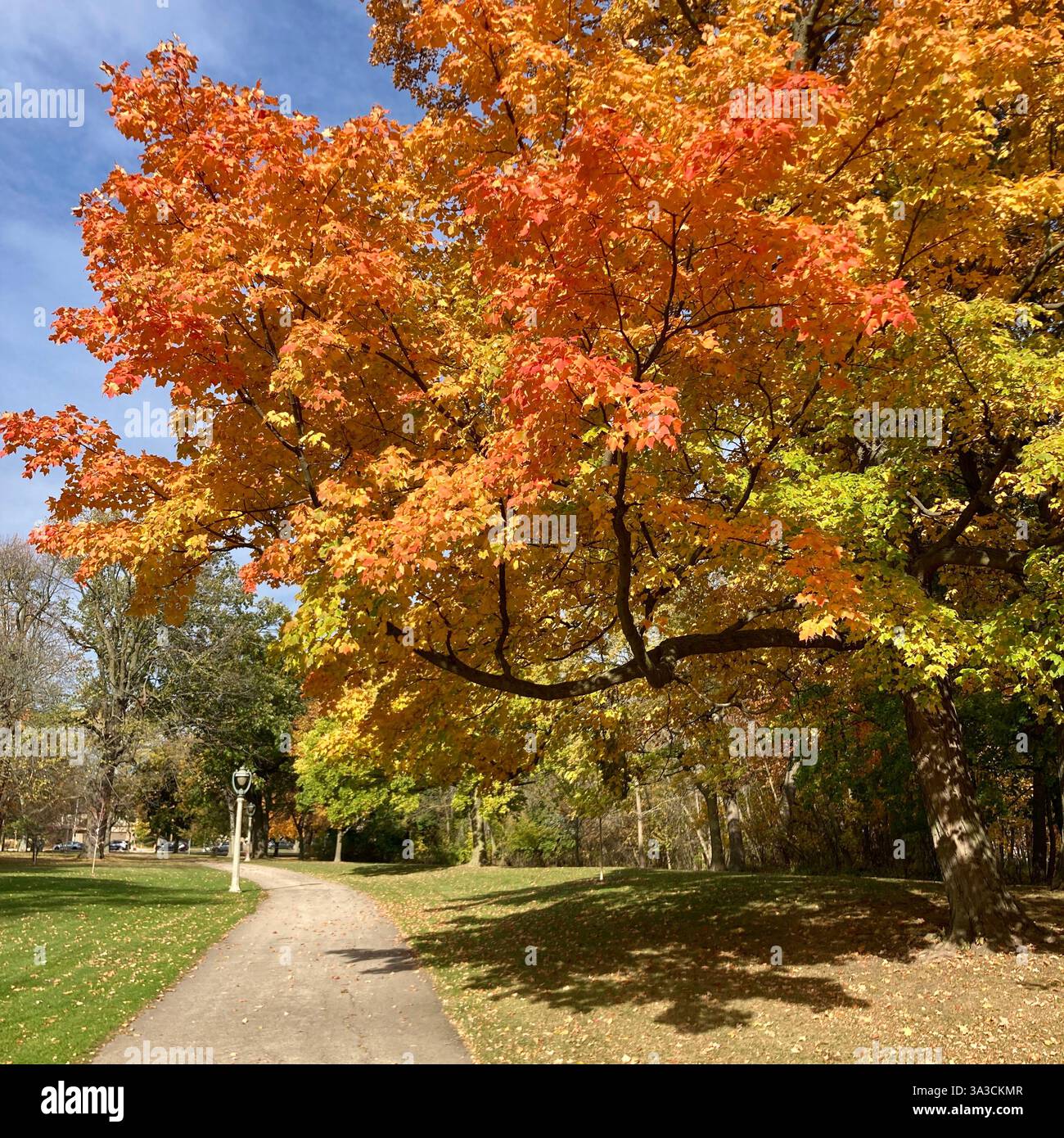 Le foglie autunnali sono in mostra al Lake Park di Milwaukee, Wisconsin, Stati Uniti. Foto Stock