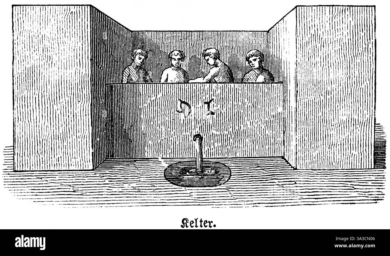 Quattro schiavi che si accamparono le uve per produrre succo, pressa per vini in pietra o legno, pressatura, vino, agricoltura, prodotto, bibbia, illustrazione storica, Bib Foto Stock