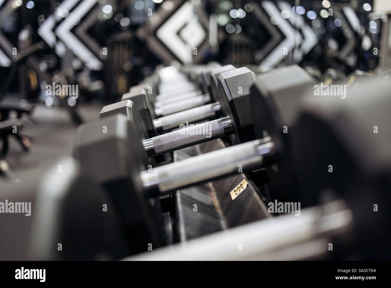Una palestra moderna con attrezzature high-tech. Ampie aree di allenamento che creano un'atmosfera di motivazione e il perseguimento degli obiettivi di fitness. Foto Stock Una palestra moderna con attrezzature high-tech. Ampie aree di allenamento che creano un'atmosfera di motivazione e il perseguimento degli obiettivi di fitness. Foto Stock