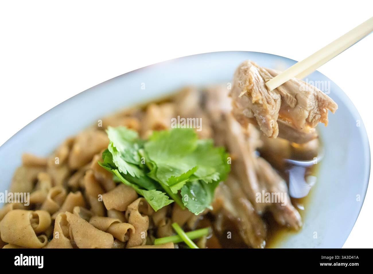 Tagliato di stufato d'anatra cotto in brodo a base di salsa di soia con un mix di erbe su bianco isolato. Foto Stock