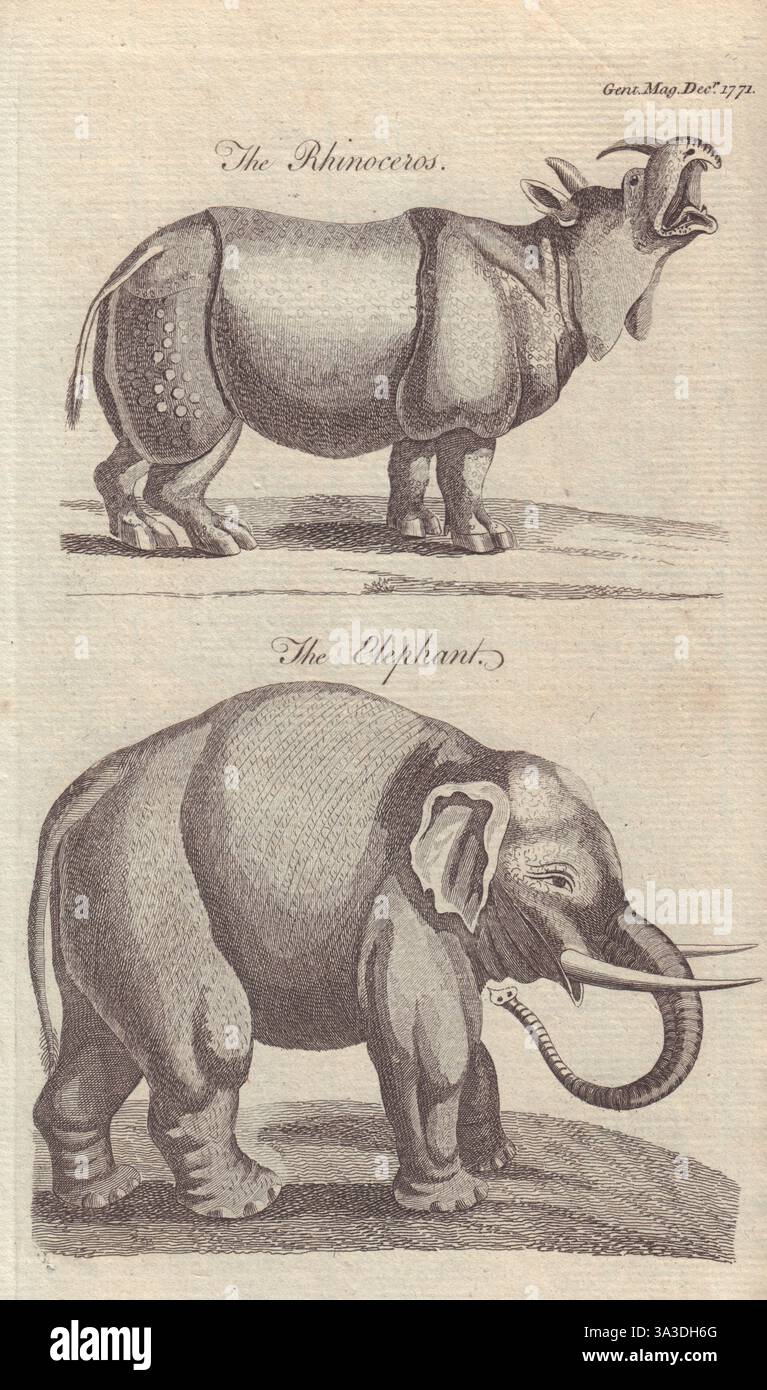 Il Rhinoceros. L'Elefante. I mammiferi africani del XVIII secolo stampano 1771 Foto Stock