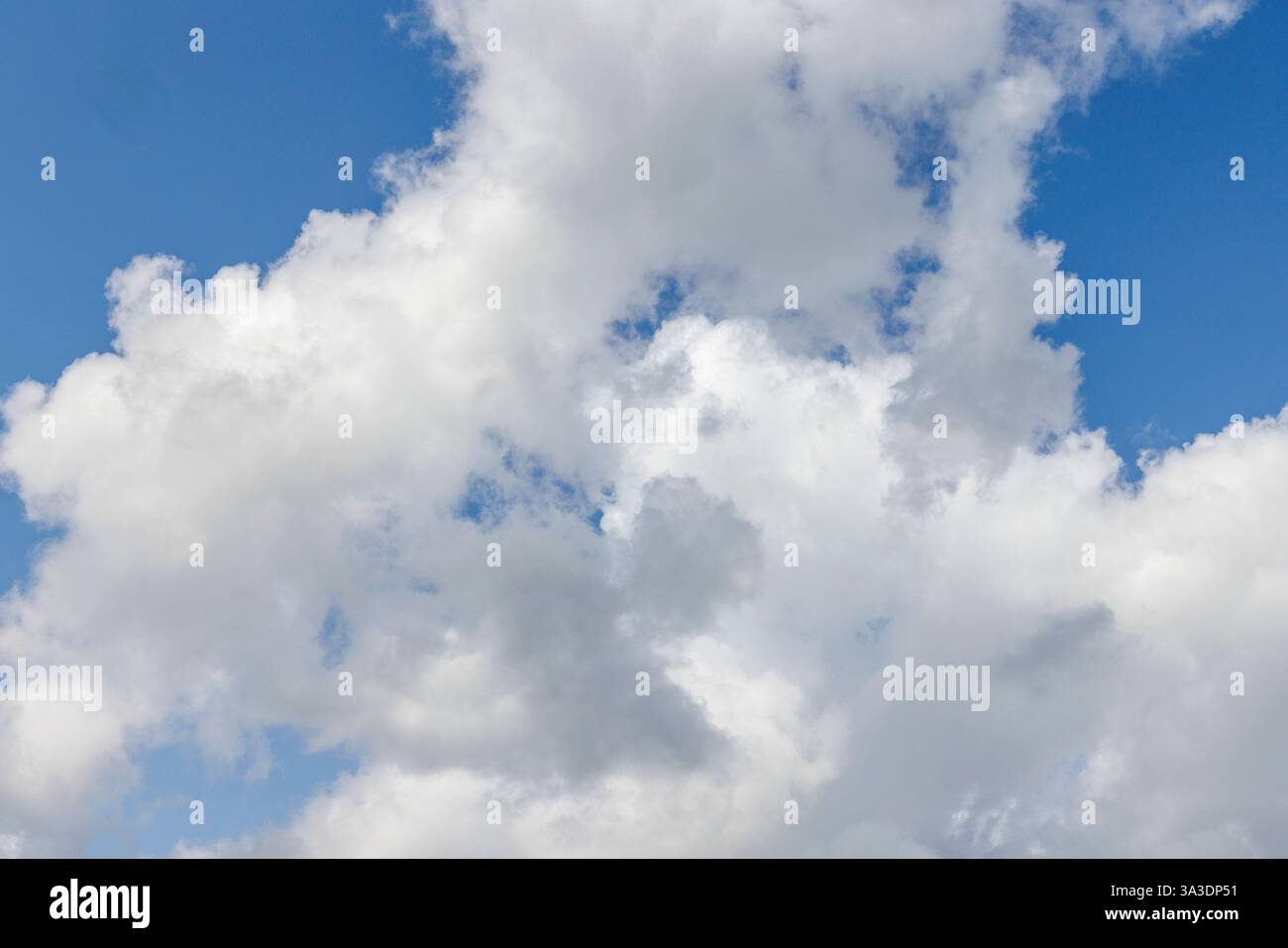 Cielo blu, museo minerario di Bois-du-Luc, Ecomusee du Bois-du-Luc, Houdeng-Aimeries, Wallonie, Belgio Foto Stock