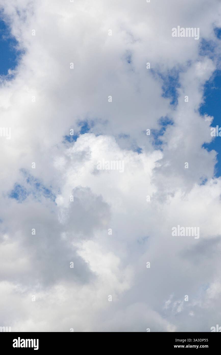 Cielo blu, museo minerario di Bois-du-Luc, Ecomusee du Bois-du-Luc, Houdeng-Aimeries, Wallonie, Belgio Foto Stock