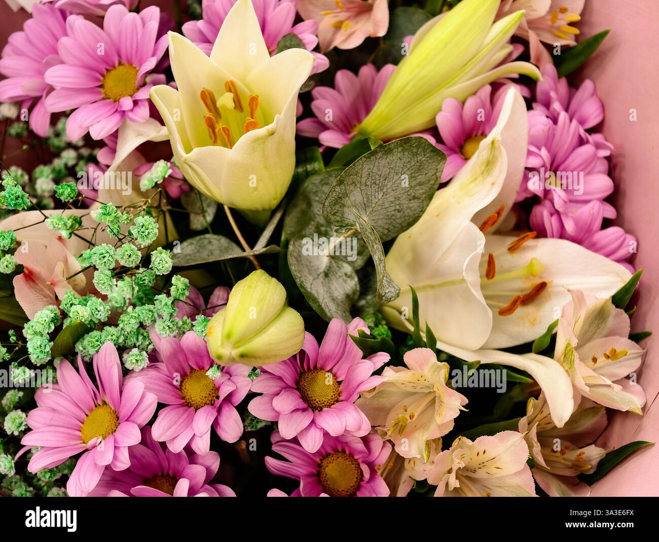 Bouquet floreale primaverile: Gigli bianchi, margherite viola, respiro verde per il bambino, fiori freschi, fiori da sposa, eleganza della natura, arrangiamento floreale pastello Foto Stock