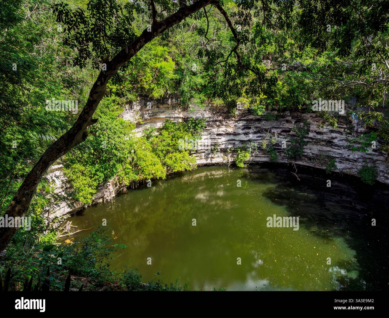 Il Cenote Sacro, Chichen Itza, Stato dello Yucatan, Messico Foto Stock