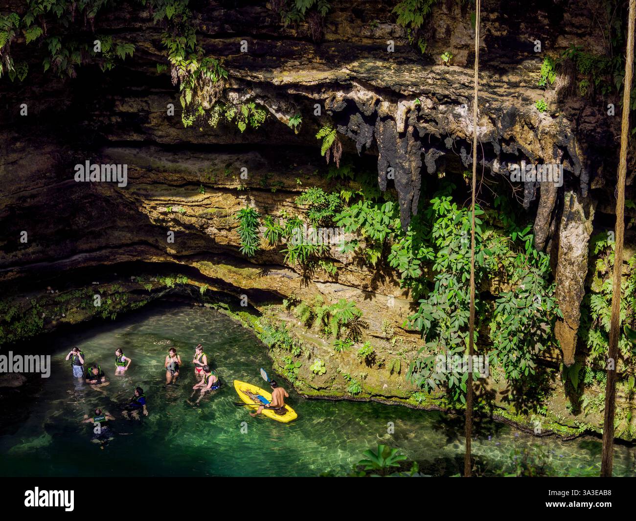 Cenote Saamal, Valladolid, Stato dello Yucatan, Messico Foto Stock