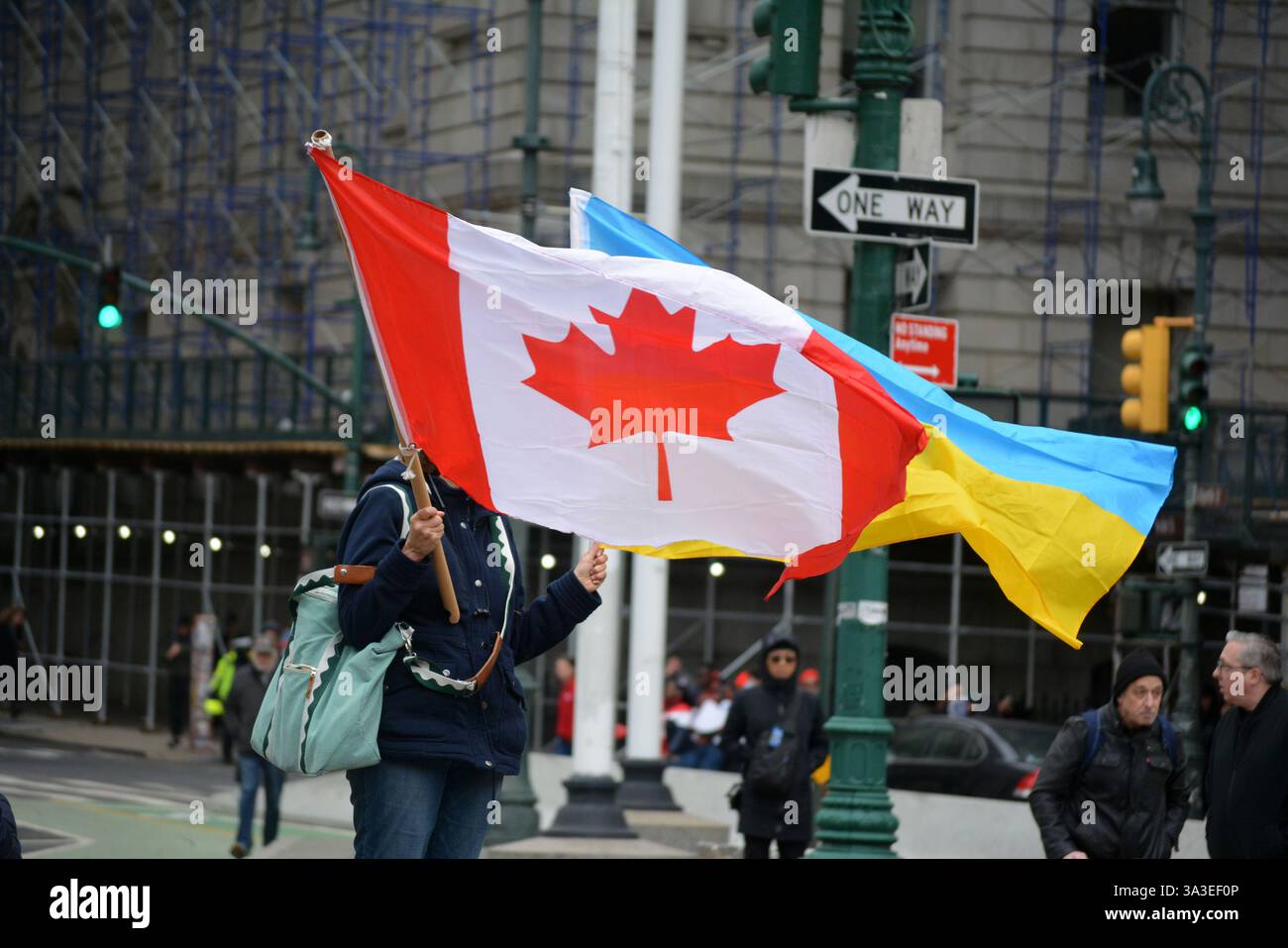 Persona che sventola bandiere canadesi e ucraine in una manifestazione Stop the Cuts contro i tagli DEL DOGE ai finanziamenti federali a Lower Manhattan. Foto Stock