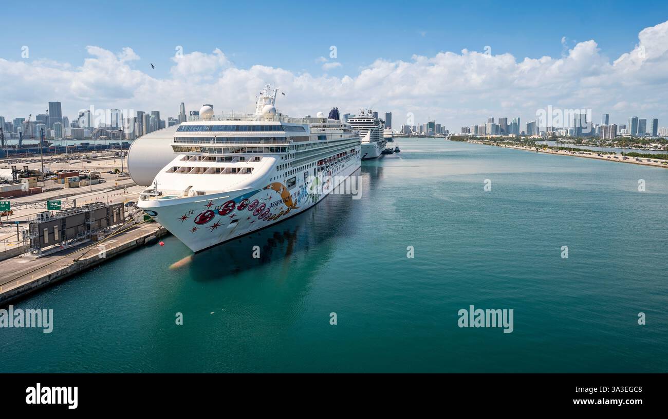 Miami, Florida, Stati Uniti - 1 marzo 2025: Nave da crociera Norwegian Pearl ormeggiata nel porto Foto Stock