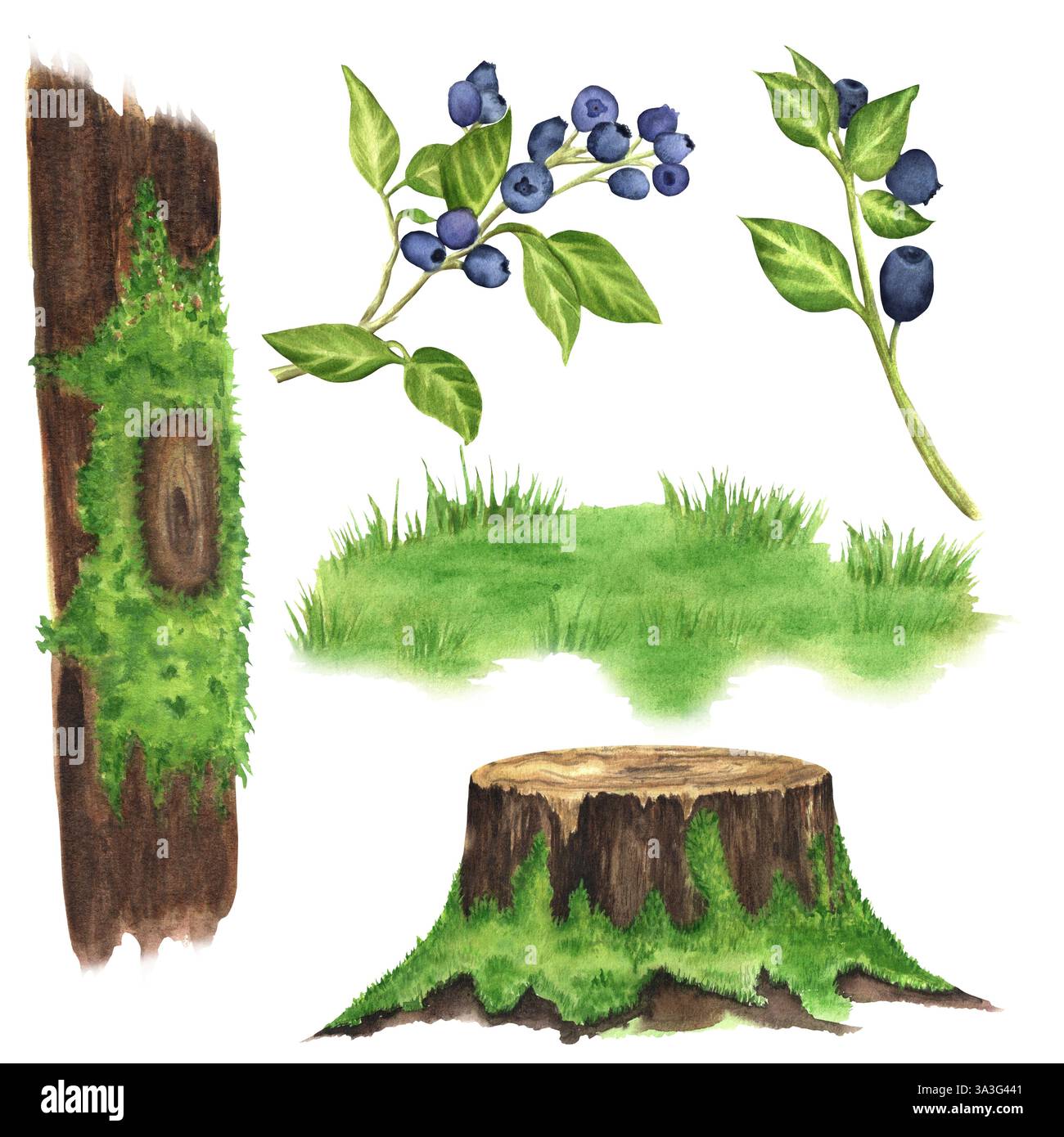 Un fascio di tronchi di legno mossy, un vecchio ceppo, erba verde, ramoscelli di mirtilli con frutti di bosco e foglie. Clipart della foresta. Immagini isolate. Disegnato a mano con Foto Stock Un fascio di tronchi di legno mossy, un vecchio ceppo, erba verde, ramoscelli di mirtilli con frutti di bosco e foglie. Clipart della foresta. Immagini isolate. Disegnato a mano con Foto Stock