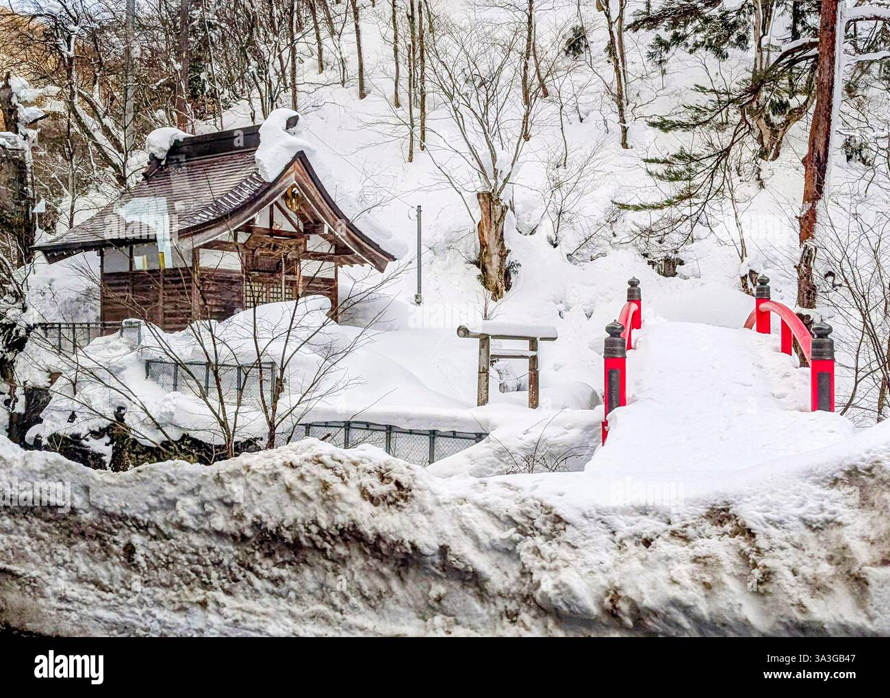 NAGANO, GIAPPONE - 02 15 2025: Piccolo santuario shintoista giapponese e ponte sepolto nella neve profonda Foto Stock